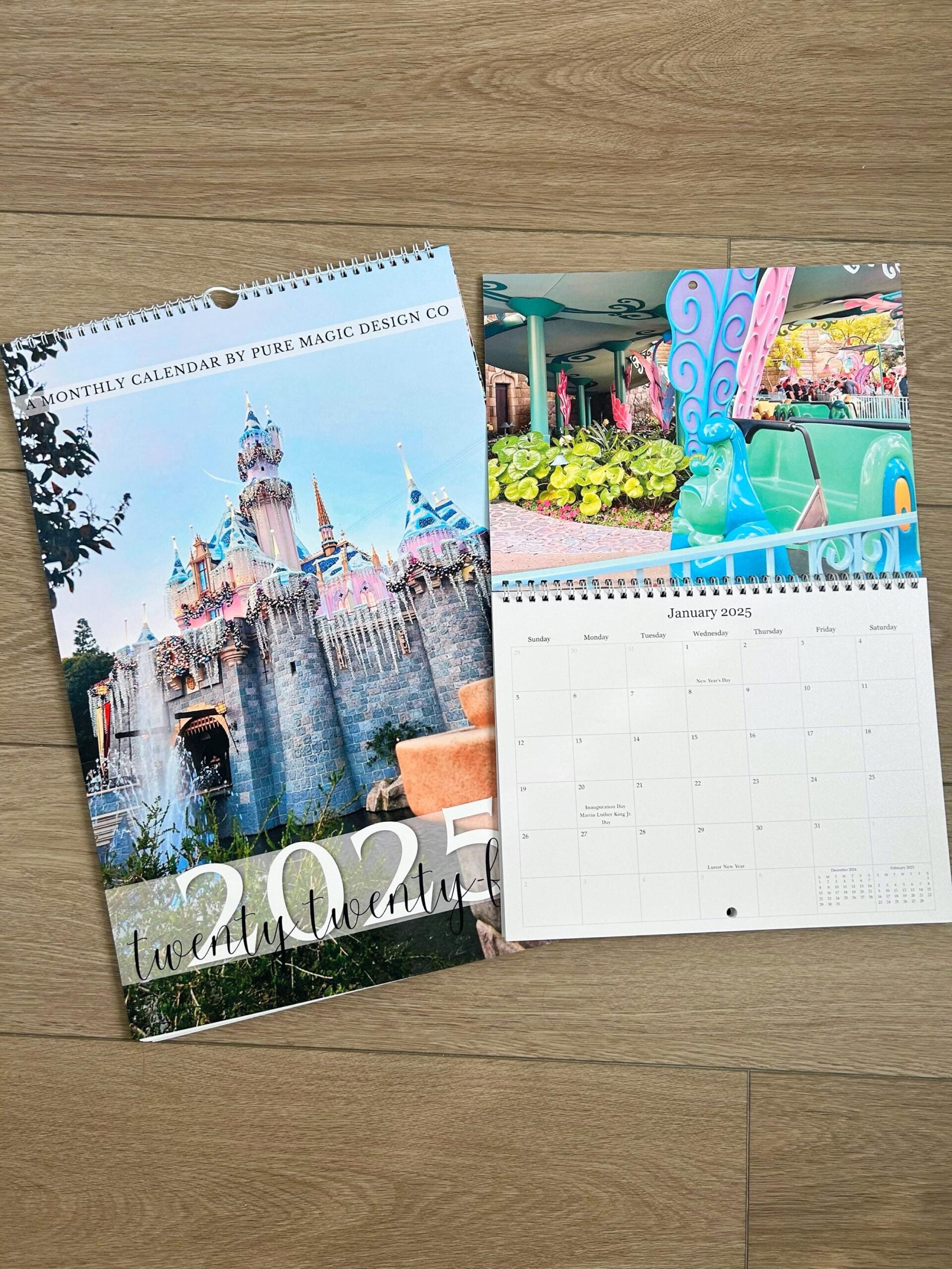 Disneyland Calendar June 2025