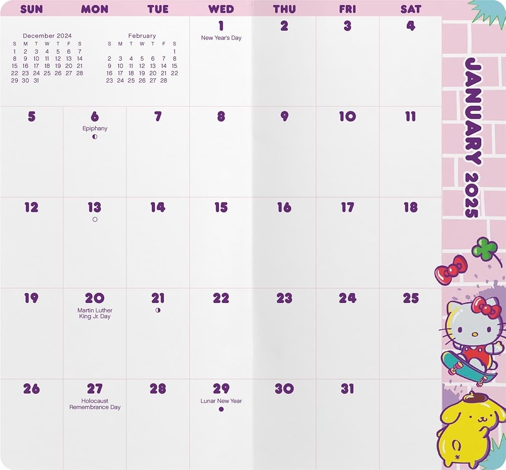 Amazon 2025 2026 Hello Kitty Pocket Planner 9798888280294 Trends International Books