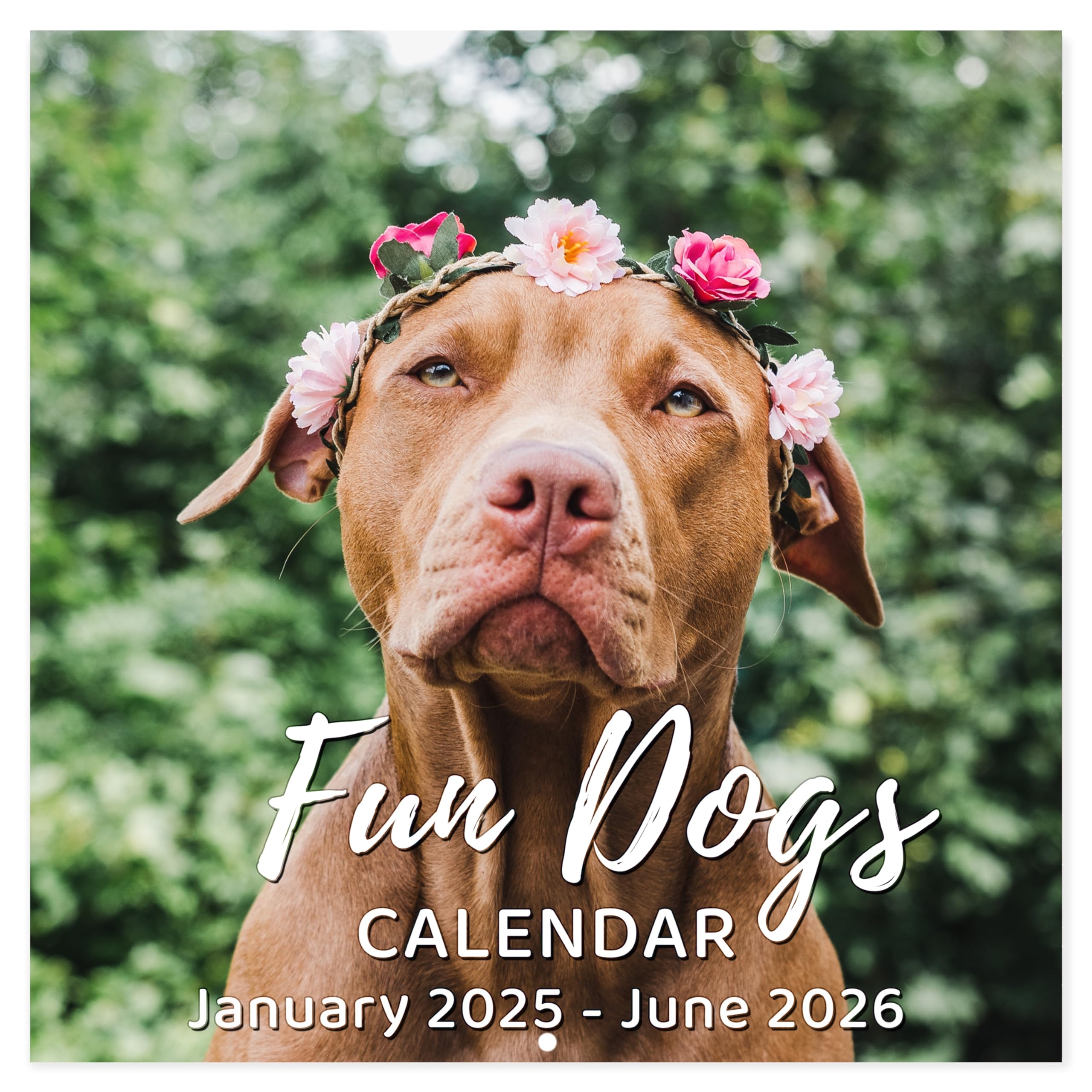 June 2025 Fun Calendar