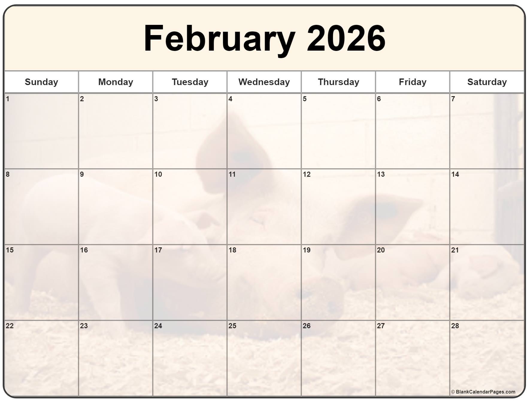 Aesthetic February Calendar 2026