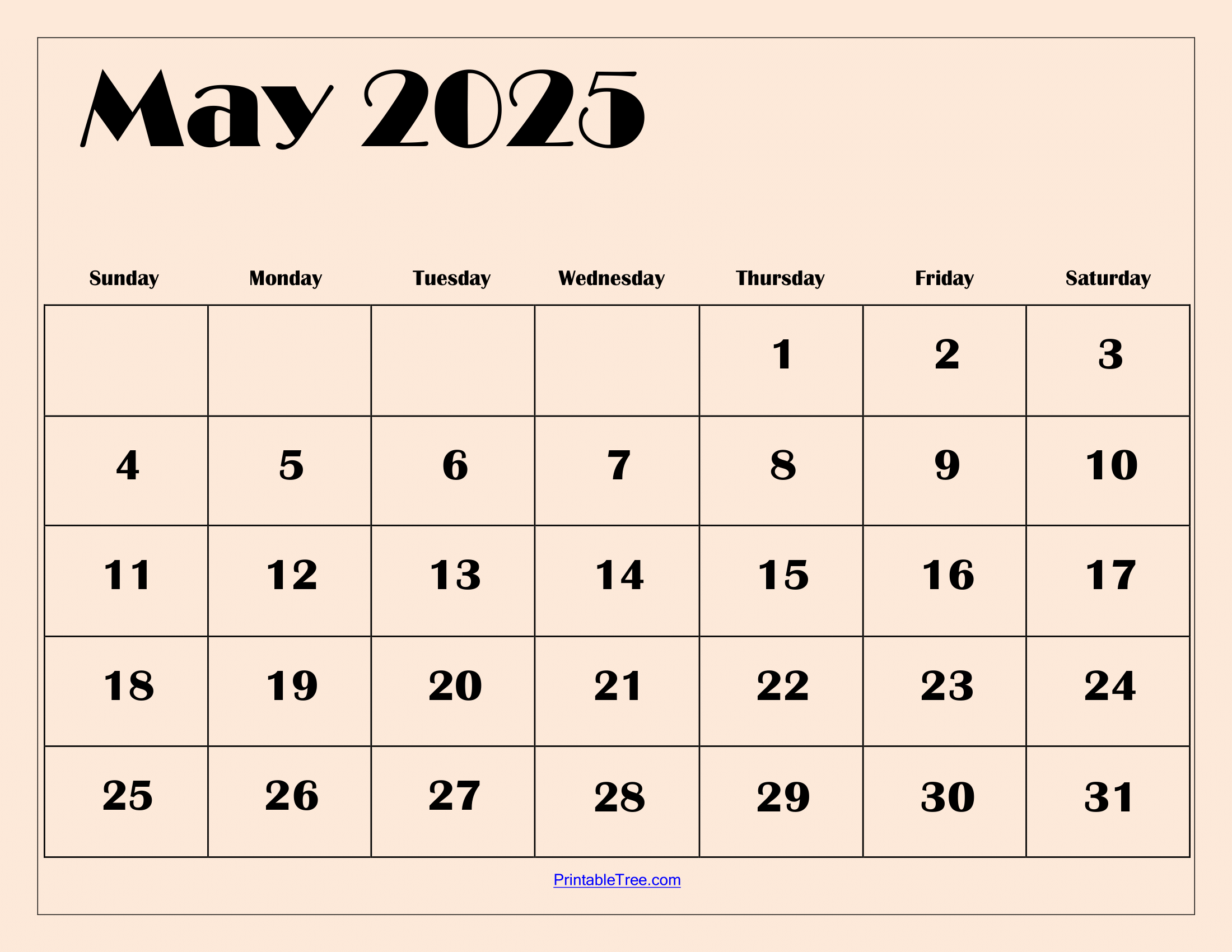Blank May And June 2025 Calendar Word