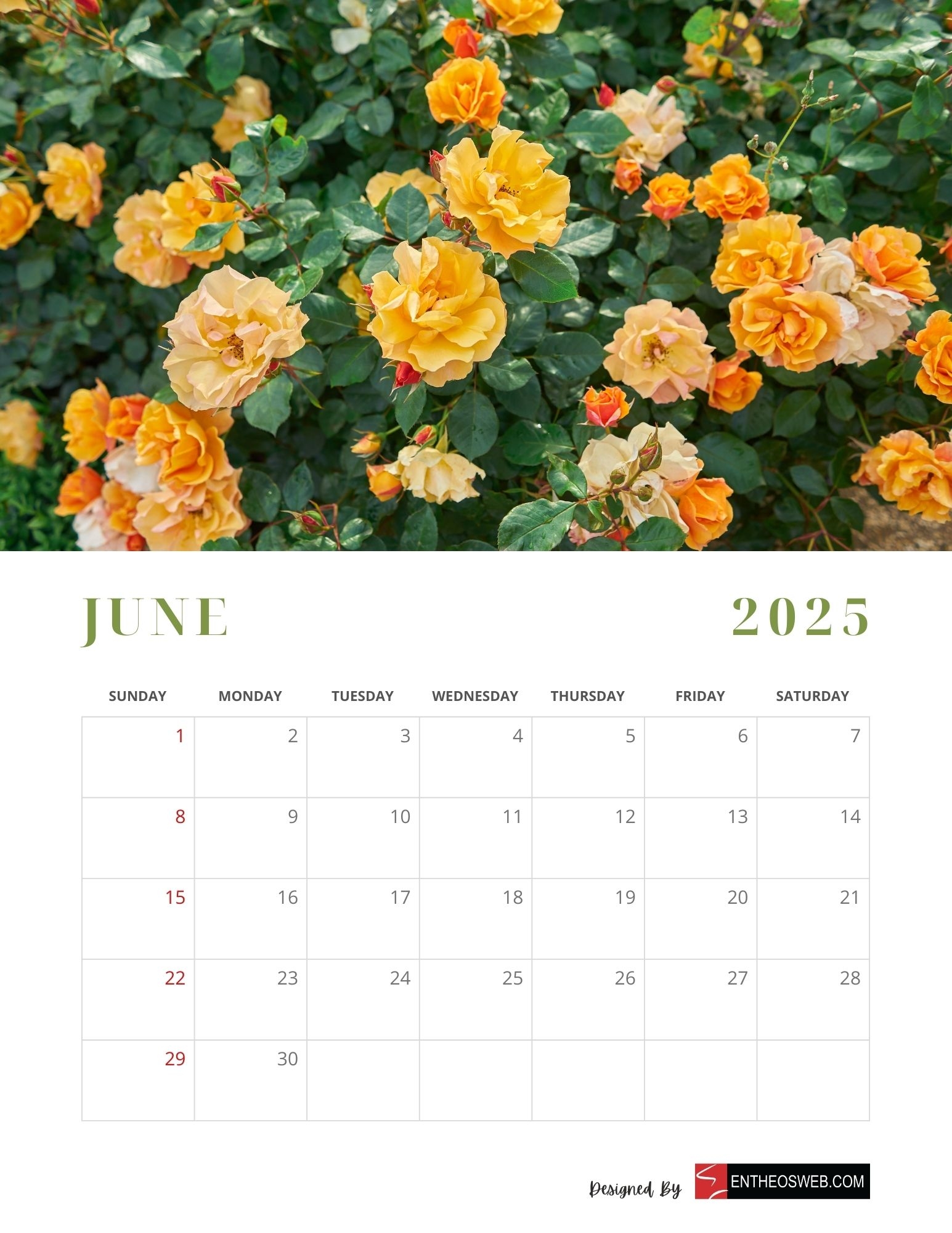 June 2025 Calendar Printables EntheosWeb