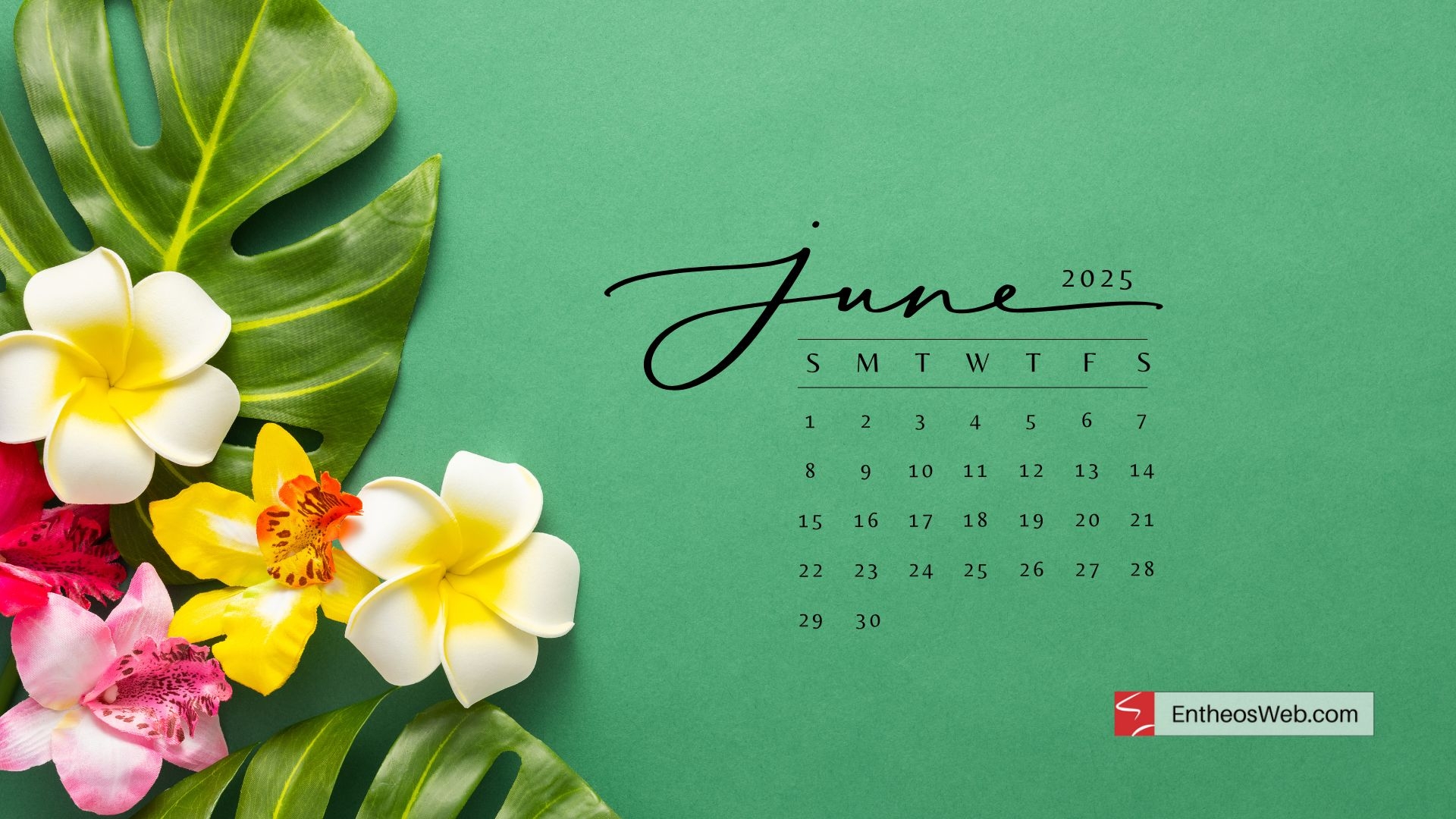 June 2025 Desktop Wallpaper Backgrounds U0026 Screensavers EntheosWeb