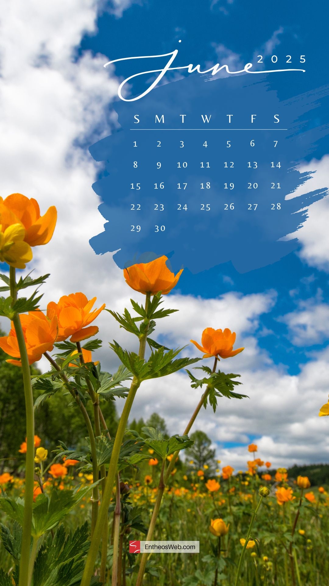 June 2025 Calendar Background