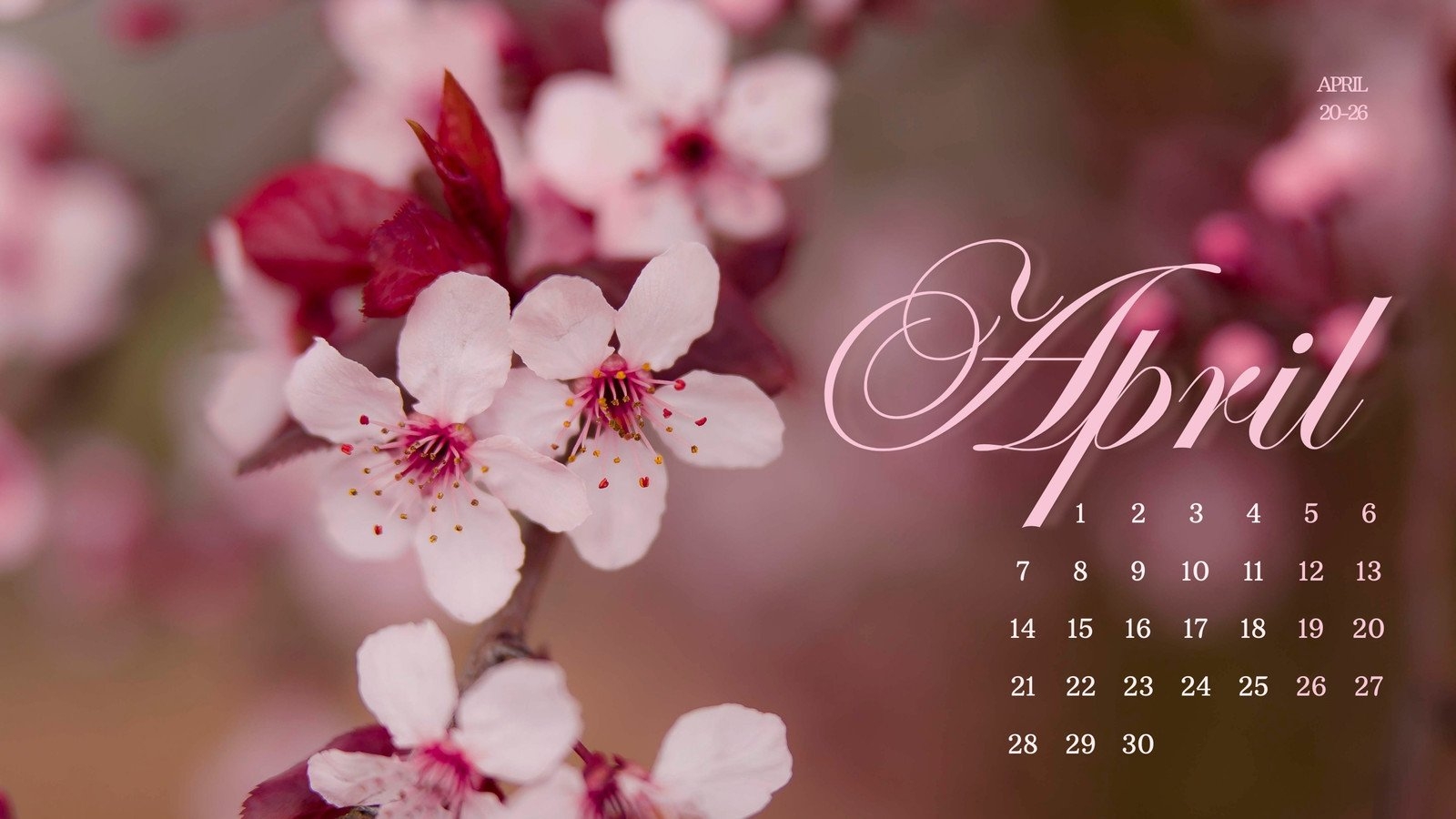 Page 5 Free And Customizable April Templates
