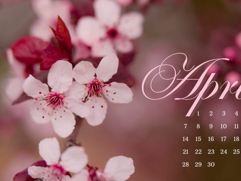 Page 5 Free And Customizable April Templates