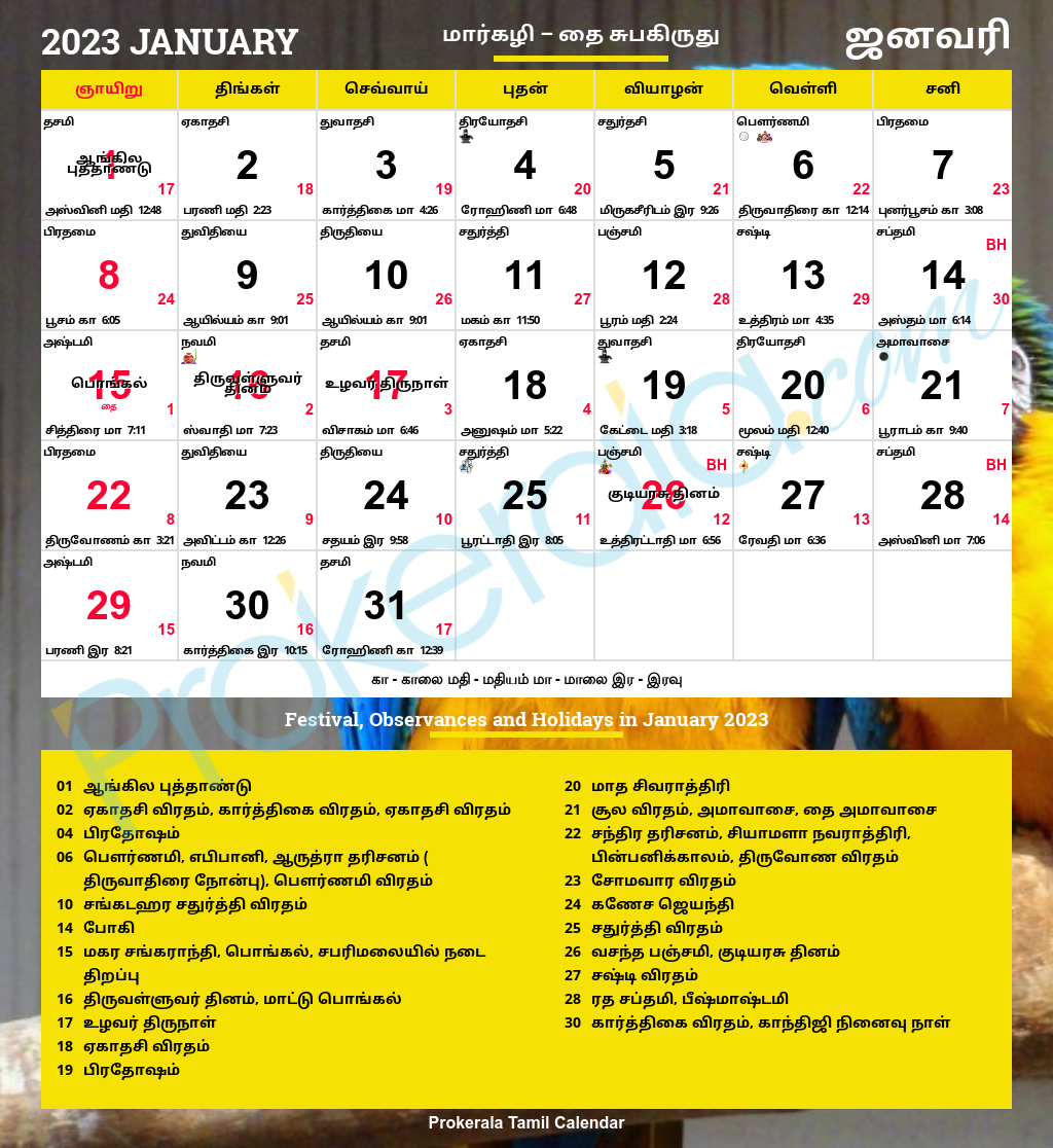 Tamil Daily Calendar 2026 January