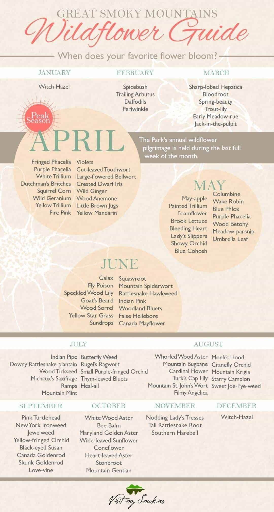 Gatlinburg Calendar Of Events June 2025